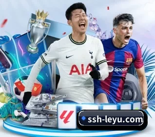 五大服务分区,信息按项目分类（leyu）